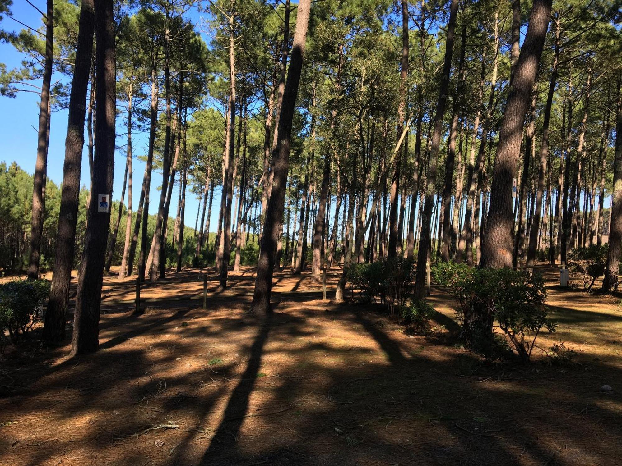 فيلا La Bergerie Des Landes ليت إت ميكسي المظهر الخارجي الصورة