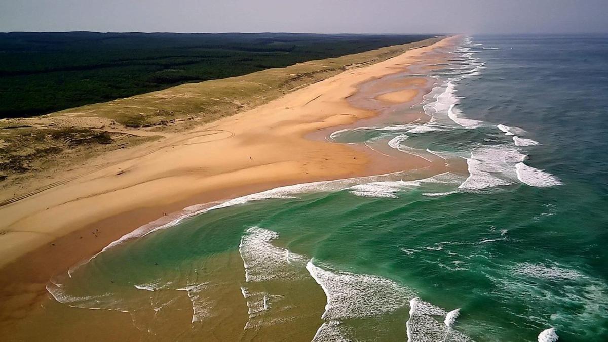 فيلا La Bergerie Des Landes ليت إت ميكسي المظهر الخارجي الصورة